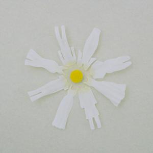 欧美人与拘一级A片
