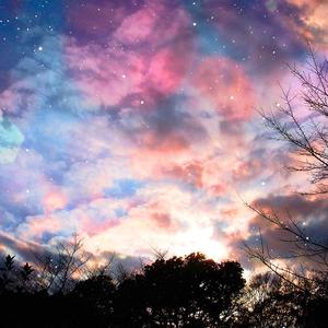 欧美人与拘一级A片
